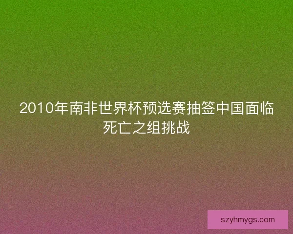 2010年南非世界杯预选赛抽签中国面临死亡之组挑战