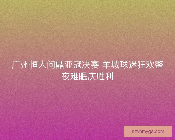 广州恒大问鼎亚冠决赛 羊城球迷狂欢整夜难眠庆胜利