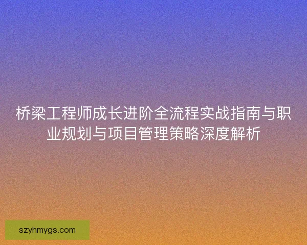 桥梁工程师成长进阶全流程实战指南与职业规划与项目管理策略深度解析